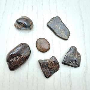 Bronzite