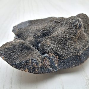 Septaria cm 10
