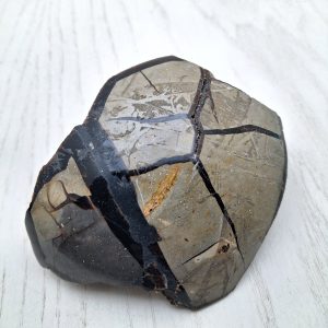 Septaria cm 10
