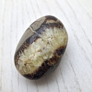 Septaria taglio saponetta cm 5