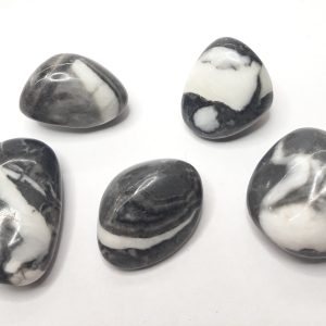 Diaspro fossile (chiamato anche Diaspro conchiglia)