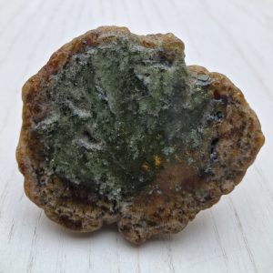 Granato verde cm 6