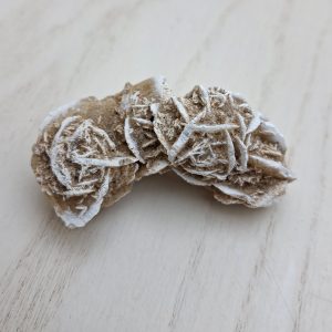 Rosa del deserto Messico cm 5,3