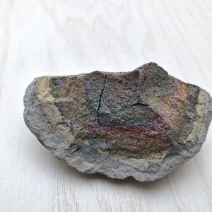 Septaria con Pirite cm 7