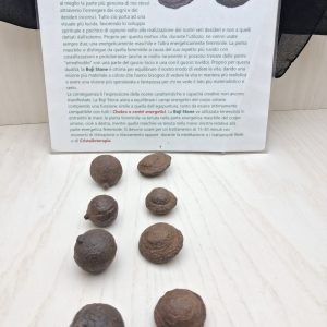 coppia di Moqui